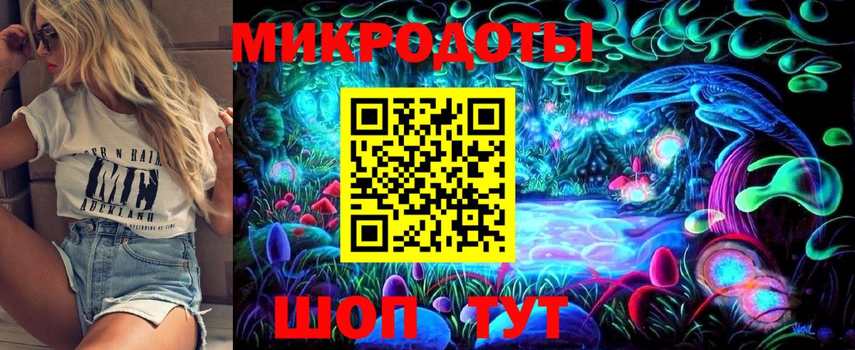 Галлюциногенные грибы Psilocybine cubensis Саратов